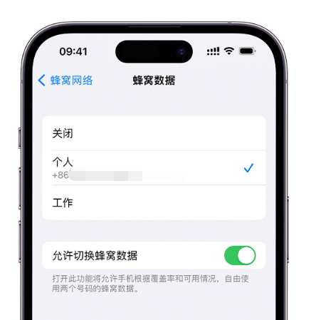 益阳苹果维修服务分享如何在iPhone上使用双卡 